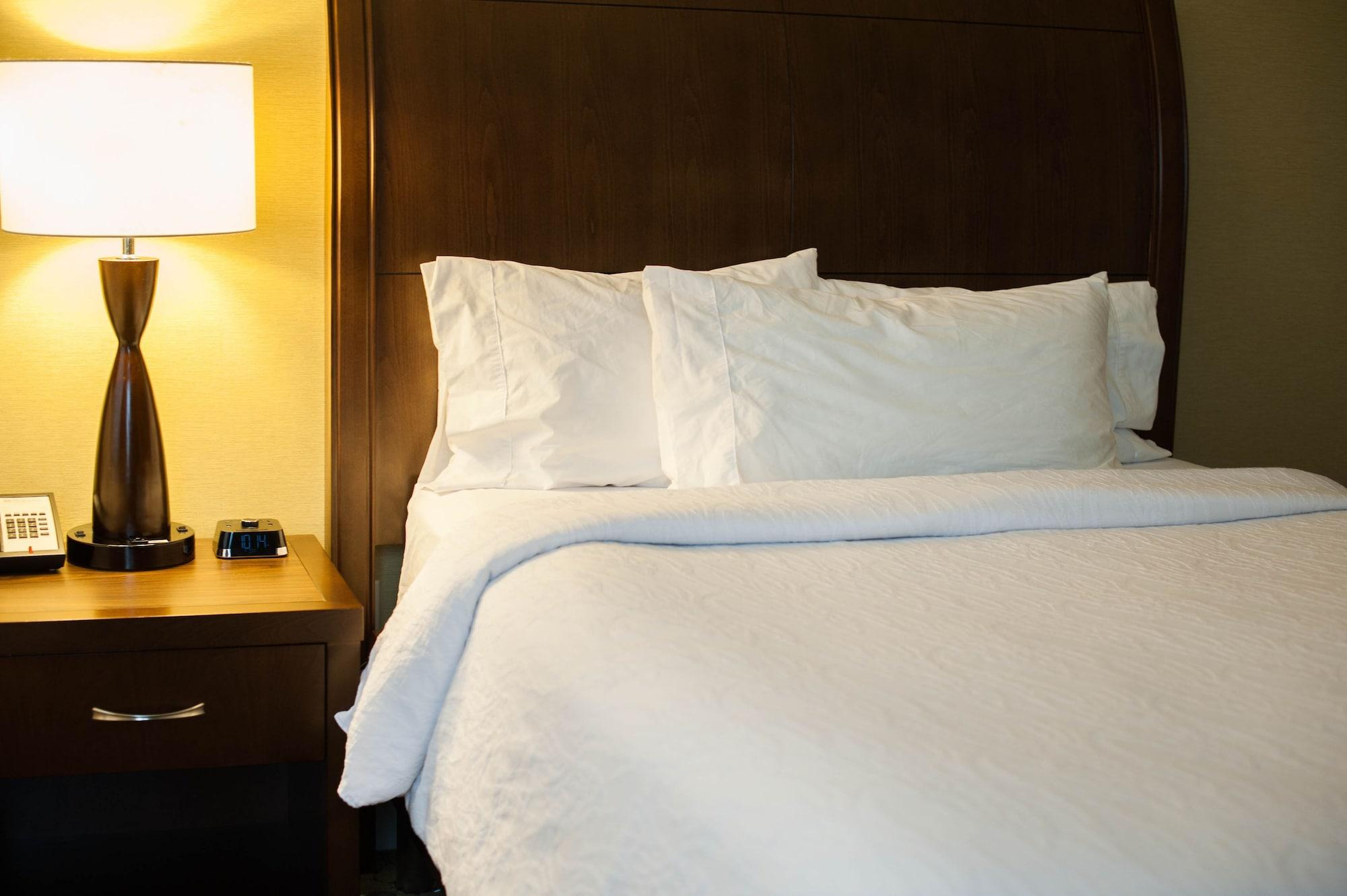 The Hilton Garden Inn Buffalo-Downtown Buitenkant foto